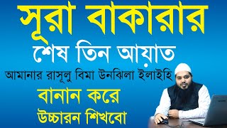 surah baqarah last 3 ayat bangla  সূরা বাকারার শেষ তিন আয়াত বাংলা সহ  sura bakarar ses 2 ayat [upl. by Bully306]