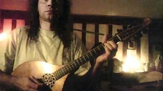 The Irish Washerwoman  Morrissons Jig on the cittern [upl. by Adnic]