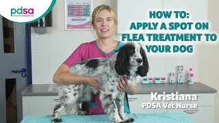 How To Apply A Spot On Flea Treatment To Your Dog PDSA Petwise Pet Health Hub [upl. by Biamonte]