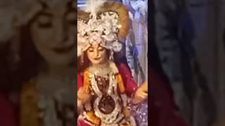 Radhe Krishna Ki Jhanki 🙏🙏🙏yutubeshorts trendingshorts radhakrishna song Sarwansagar 88 [upl. by Bolitho]