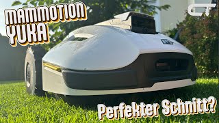 Mähroboter Mammotion Yuka Die Lösung für verwinkelte Gärten [upl. by Dlorad]