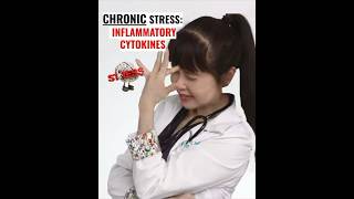 Chronic Stress and Inflammatory Cytokines [upl. by Redna]