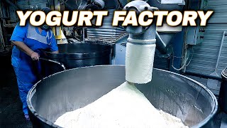 How Yogurt Is Made  Yogurt Production Line  Yogurt Factory [upl. by Goar]