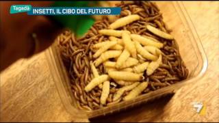 Insetti il cibo del futuro [upl. by Yelyab]