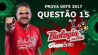 O IMPULSO NERVOSO  PROVA UEFS 2017 QUESTÃO 15 [upl. by Ennywg938]