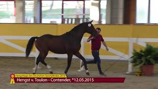 Toulon  Contender 2015 [upl. by Okiek]