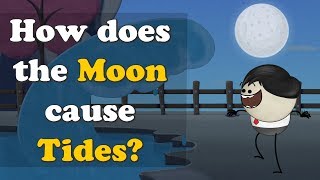 How does the Moon cause Tides  more videos  aumsum kids science education children [upl. by Akirdnahs]