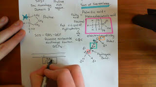 Receptor Tyrosine Kinases Part 5 [upl. by Ahseneuq]