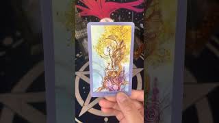 ✨🤍 spirituality soulmate twinflame tarotreading tarot astrology zodiac shorts fyp [upl. by Akkimat]