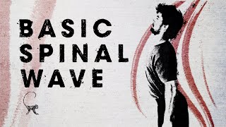 Basic Spinal Wave [upl. by Rainer]