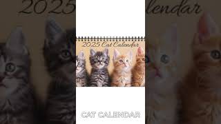 Cat Desktop Calendar Cat Desk Calendar 2025 Desk Calendar Kitten Calendar Cat Calendar Kitty [upl. by Sitto]