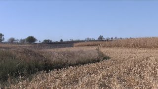 Moville Corn Field Fire [upl. by Esej]