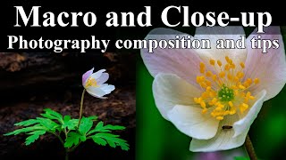 HOW TO USE Macro amp Telephoto lenses for Closeup Photography [upl. by Aitropal]