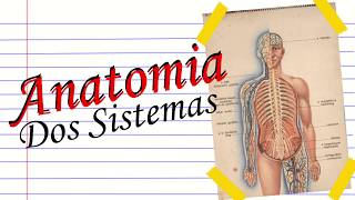 Anatomia sistêmica  Normalidade Variação anatômica anomalia e monstruosidade [upl. by Eilatan]