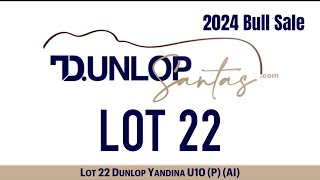 Lot 22 Dunlop Yandina U10 P AI [upl. by Rettig]