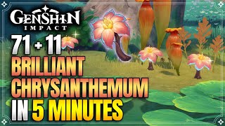 Brilliant Chrysanthemum Locations  Fast and Efficient  Xilonen Ascension Materials【Genshin Impact】 [upl. by Dielle]