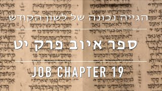 Job Chapter 19  איוב פרק יט [upl. by Aala]