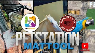 Pet Station in Mattul Kannur  best pets collection in Kerala  must visit place in Kannur petsvlog [upl. by Bradwell198]