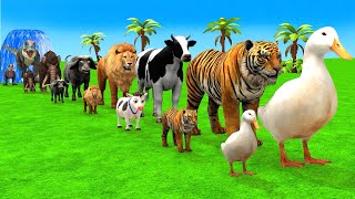 Paint Animals Cow Duck Elephant Tiger Hippo Funny 3d Animal Transformation Crossing Fountain Game [upl. by Castle]