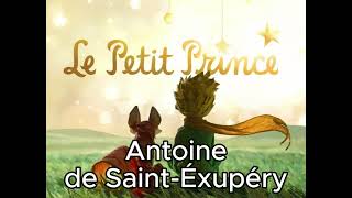 Le petit prince dAntoine de SaintExupéry Chapitre 16  Livre Audio [upl. by Tam]