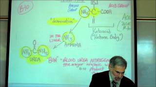 PHYSIOLOGY CELLULAR RESPIRATION PART 2 by Professor Fink [upl. by Olfe19]