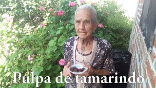 Pulpa de tamarindo tradicional estilo Guerrero  Cocinando con Ninfa [upl. by Callida]