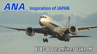 【宮崎空港】ANA B7878 Dreamliner 離陸シーン 20211123・修正版 [upl. by Haiel919]