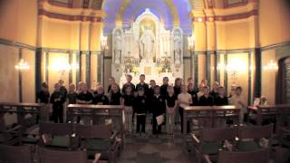 Hail Mary Prayer at the National Shrine of Our Lady of the Miraculous Medal [upl. by Lavine]