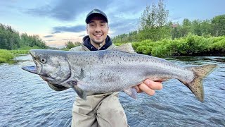 Alaska KING SALMON fishing a Small Creek CATCH CLEAN COOK [upl. by Ratcliff]