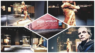 Exploring real human body plastinated anatomy  cadavers from the Bodyworlds exhibit [upl. by Avilys205]