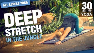 30 Minute Deep Stretch Jungle Yoga Class  Five Parks Yoga [upl. by Garett]