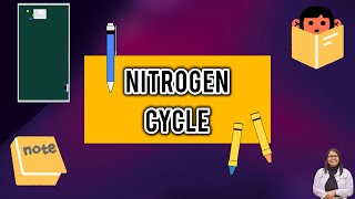 Nitrogen Cycle explained for students [upl. by Olva]