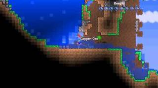 Water Physics Demonstration in Terraria [upl. by Hailey459]