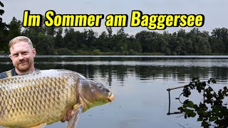 Karpfenangeln im Sommer am Baggersee [upl. by Enyawd]