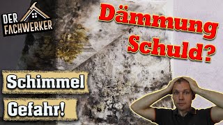 So wirst du Schimmel in der Wohnung wieder los [upl. by Henrique]