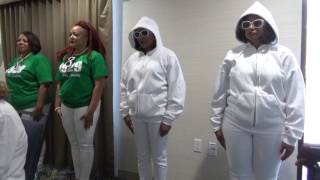 Epsilon Chi ChapterIota Phi Lambda Sorority Inc  New Member Presenation 2017 [upl. by Llennoj]