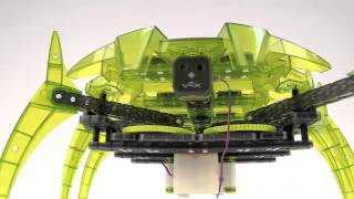 HEXBUG VEX Robotics Scarab [upl. by Julina]