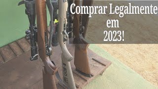 Como ter uma Arma de Fogo LEGALIZADA em 2023 [upl. by Anrak]