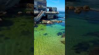 Monterey aquarium [upl. by Blanche587]