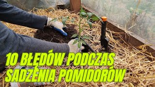 10 błędów podczas sadzenia pomidorów [upl. by Jevon]