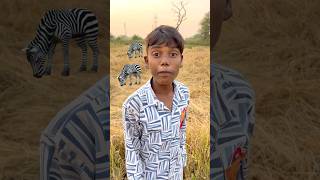 CHOTU KA VILAGE TIGER shorts FACTFIREKING [upl. by Aseek]