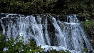 Karuizawa 輕井澤｜Shiraito Falls 白糸の滝 ｜Japan [upl. by Alleynad]