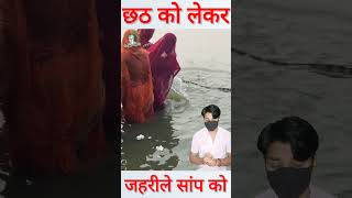 छठ पूजा के दौरान जहरीले सांप को सामने देखकर shorts chhathpuja [upl. by Borras]