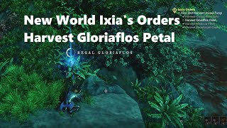 New World Ixias Orders  Harvest Gloriaflos Petal [upl. by Locklin302]