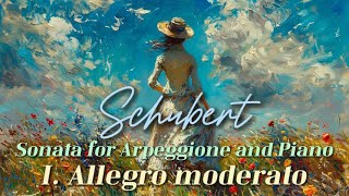 슈베르트 아르페지오네 소나타 1악장 🎶🎻💎 Schubert Sonata for Arpeggione and Piano D821 I Allegro moderato [upl. by Dazhahs]