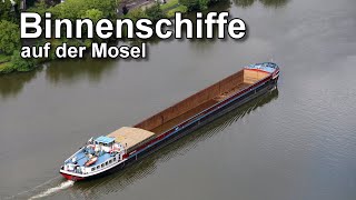 Binnenschiffe auf der Mosel  Binnenschifffahrt [upl. by Ayerhs]