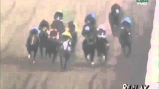 Insane Greatest Jockey Fight Of All Time  Sick [upl. by Nahsed]