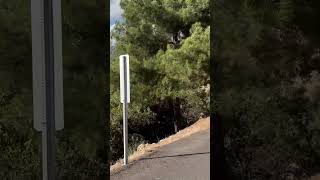 Zeybekler Nothingness cycling bikelifemersin cyclinglife gianttcr bikelover bike bikerbikes [upl. by Nibbor1]