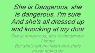 James Blunt  Dangerous Lyrics [upl. by Eirovi]