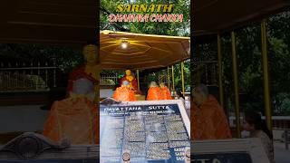 DHAMMA CHAKKA SARNATH shaswaram travel sarnath ytshorts buddha buddhism varanasi kashi reel [upl. by Samantha]